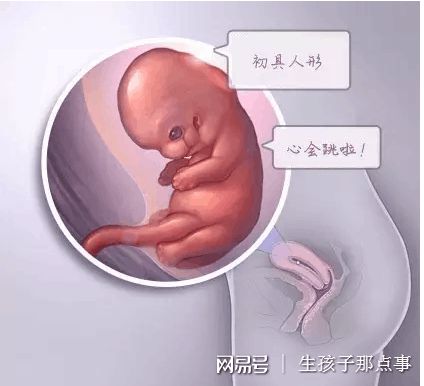 单身生育力保存